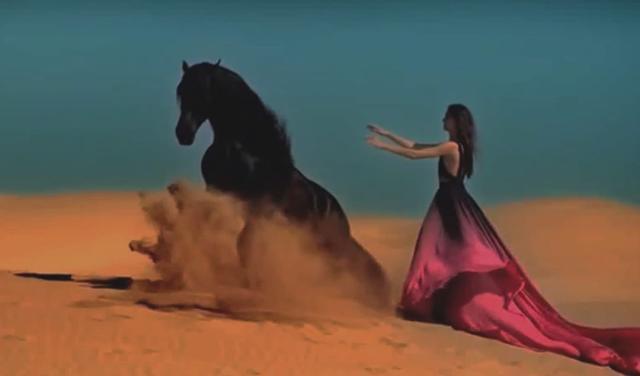 Andreea Sasu (29).jpg